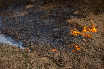 a strong forest fire breaks out in windy weather due to human fault, flames destroy dry grass on the edge of the forest and fields in early spring, call the fire brigade to extinguish the fire