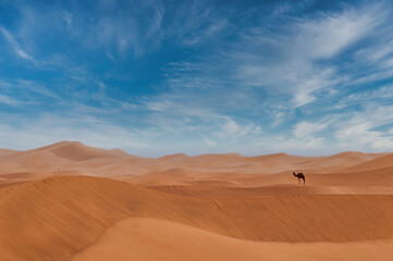 Fototapeta na wymiar Biggest sand desert 