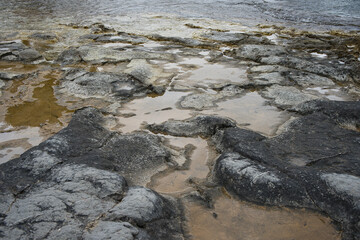 Fototapeta premium Dark natural texture to insert text.