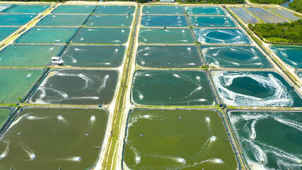 Aerial view of the prawn farm with aerator pump. Bohol, Philippines. Ponds for shrimp farming.