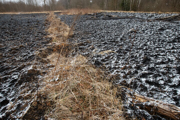 ash and snow lie on the black charred ground after a forest fire, a natural disaster and...
