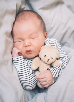 Newborn sleep at first days of life. Portrait of new born baby one week old with cute soft toy in crib in cloth background.
