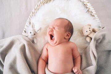 Sleeping newborn baby in basket wrapped in blanket in white fur background. Portrait of little child one week old with soft toys. - obrazy, fototapety, plakaty