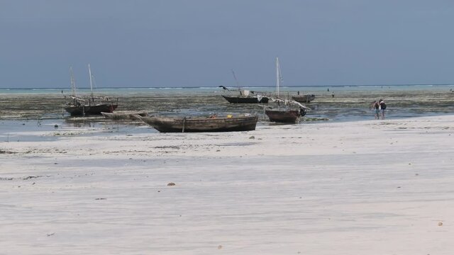 Lot of Traditional African fishing boats stranded in the sand on the beach at low tide, Zanzibar. Old dry, wooden row boats sitting on a sandbank by Ocean coast. Nungwi Exotic shore. Tanzania. Africa