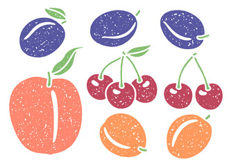 Set of fruit with grainy texture: cherry, plum, peach, and apricot