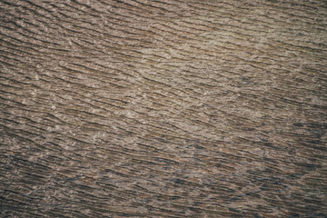 Monochrome texture of golden calm water of lake. Meditative ripples on sunny water surface. Nature minimal background of gold lake in sunlight. Natural backdrop of clear water. Sunshine lake fragment.