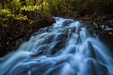Fototapeta premium Nature