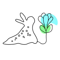 snails: illustration, one line, flowers