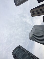 skyscrapers in the city