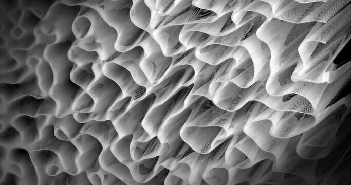 An abstract animation with a dynamic texture resembling coral or fabric, that ripples and moves like gelatin