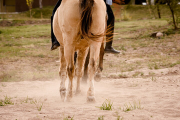 Patas de caballo galopando sobre la arena 