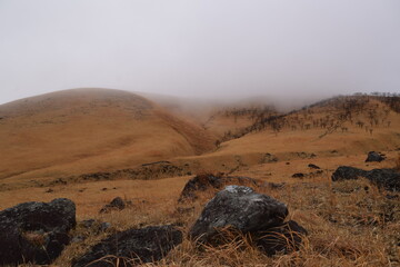Yellow mountains in the fog 1