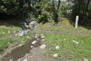 大沢池　名古曽の滝跡　京都市嵯峨