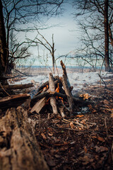 Campfire in the forest on the edge of a cliff! 