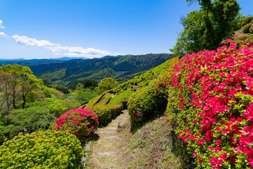 静岡県熱海市姫の沢公園