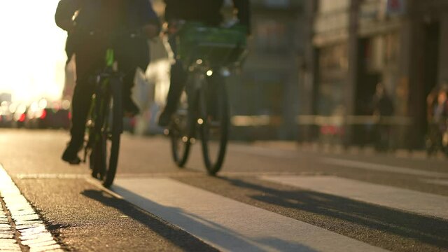 People riding bicycles in street during sunset time
