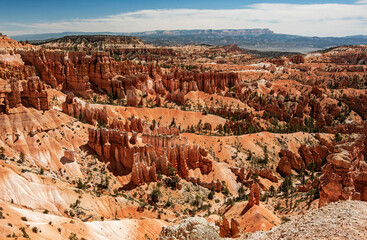 Landscape in Bryce Canyon National Park