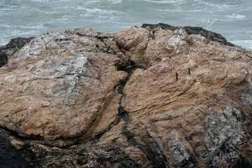 Rock texture lands end California