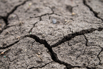 Deep cracks in the ground. The dry ground cracked.