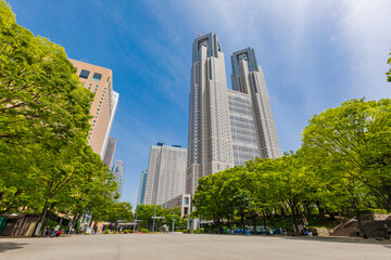 新宿中央公園