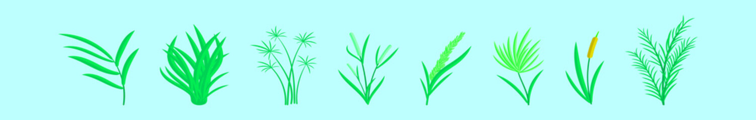 set of reeds cartoon icon design template with various models. vector illustration isolated on blue background