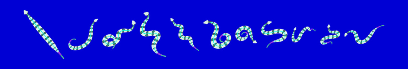 set of rattle snake cartoon icon design template with various models. vector illustration isolated on blue background