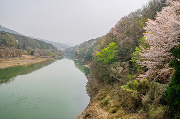 Fototapeta na wymiar 滋賀県の瀬田川　
