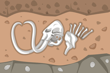 Underground soil with mammoth fossils - obrazy, fototapety, plakaty