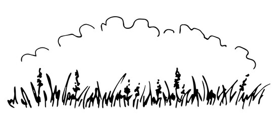 Hand-drawn horizontal vector black outline drawing. Border of wildflowers, herbs on a white background. Cloud frame, place for title. Meadow plants, nature. Floral banner.