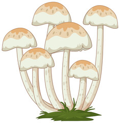 Many mushrooms in cartoon style on white background