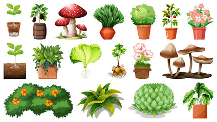 Set of different plants in pots isolated on white background