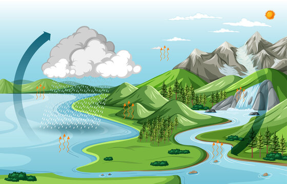 Nature landscape with the water cycle diagram