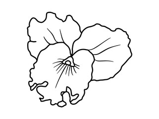 Hand drawing and sketch flower with line art illustration.