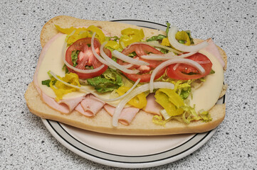 Delicious Turkey Sub
