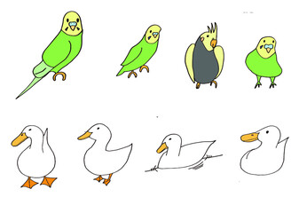 インコとあひる