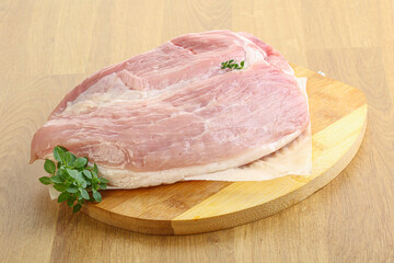 Piece of the raw pork meat