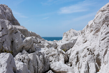 和歌山　白崎海洋公園　石灰岩