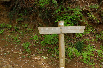 Wood sign. Mt. Takao is a mountain with an altitude of 599m in Hachioji, Tokyo. It has long been regarded as a sacred mountain for Shugendo.