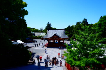 古都鎌倉のシンボル、鶴岡八幡宮