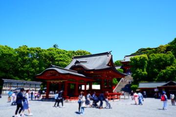 Fototapeta na wymiar 鎌倉のシンボルの鶴岡八幡宮