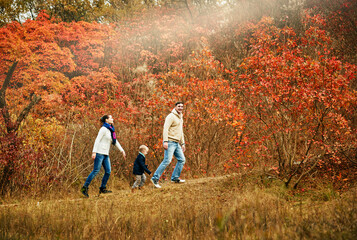 Portrait of beautiful young family on walk in sunny autumn forest