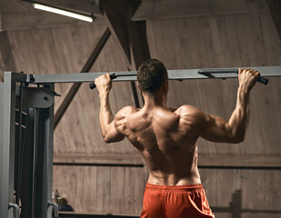 Fototapeta na wymiar Rear view of muscular strong man training in gym and doing exercise for back