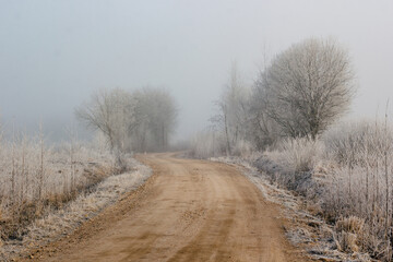 A brown, sandy road, in the middle of a snow-white field and trees.