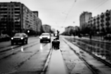 Rainy day in the big city, two cars go straight on the road. Close up view, from the handrail on the sidewalk level