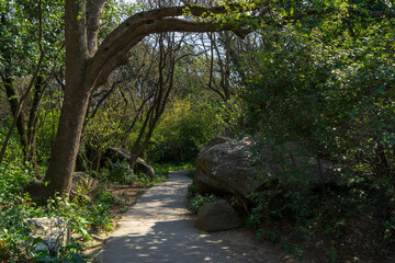 Image of a walkway in the spring park.