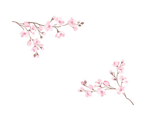 Twigs of Sakura or Cherry Blossom Arranged in Corners Vector Illustration