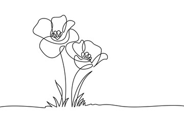 Mohnblumen im kontinuierlichen Strichzeichnungsstil. Gekritzelblumengrenze mit zwei Blumen, die unter Gras blühen. Minimalistisches schwarzes lineares Design isoliert auf weißem Hintergrund. Vektor-Illustration
