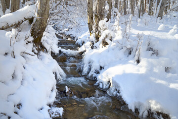 Fototapeta na wymiar Mountain river in the winter forest.