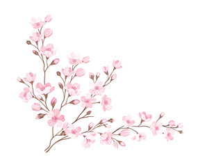 Twigs of Sakura or Cherry Blossom Arranged in Corner Vector Illustration