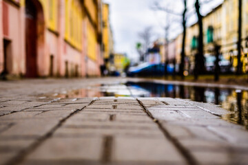 Rainy day in the big city, the sidewalk with trees. Close up view from the level of the puddle on the sidewalk